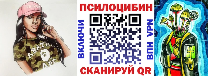 наркотики Каспийск Псилоцибиновые грибы MAGIC MUSHROOMS